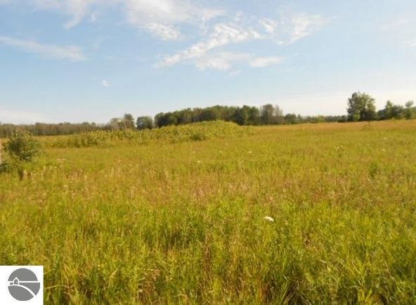 TBD E Stevenson Lake Road: E Stevenson Lake Road, Clare, MI 48617